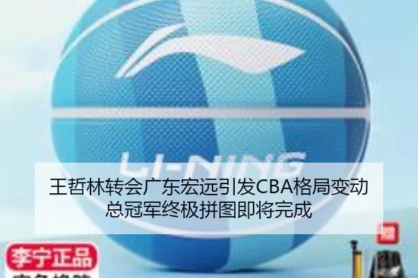 王哲林转会广东宏远引发CBA格局变动 总冠军终极拼图即将完成 - Kaiyun